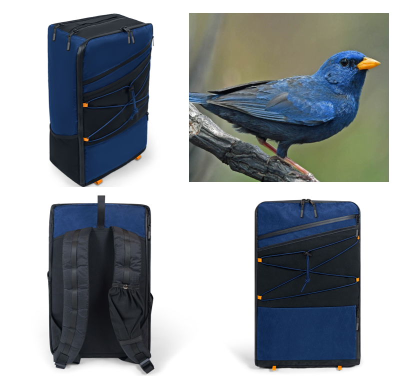 The Blue Finch