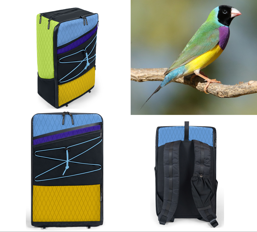 The Gouldian
